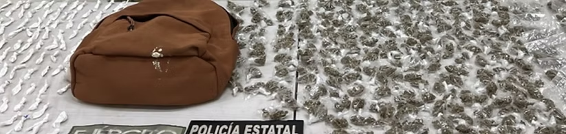 Asegura Policía Estatal y Defensa más de 300 envoltorios con narcótico en Nogales