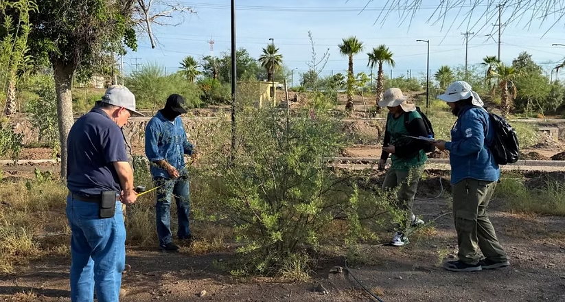 Gobierno de Sonora impulsa una variada agenda de actividades en el Bosque Urbano La Sauceda
