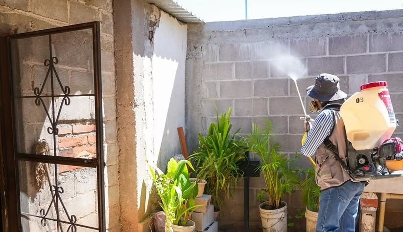 Mantiene Salud Sonora acciones contra el dengue en Adivino, Villa Pesqueira