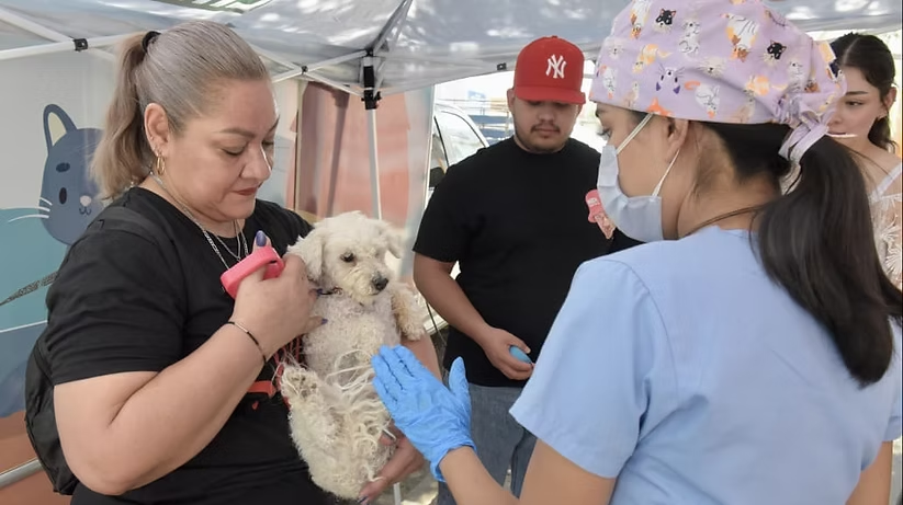 Llevará Gobierno de Hermosillo jornadas de castración gratuita a Zamora y Urbi Villa del Cedro