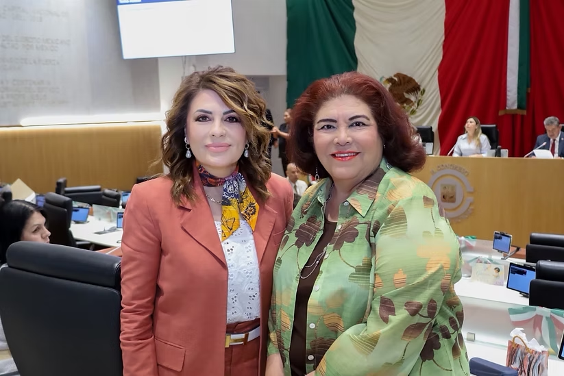 Por una maternidad digna, segura y libre de violencia: Alejandra López Noriega