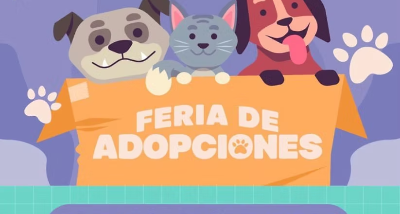 Invita Gobierno de Hermosillo a la Feria de Adopciones el próximo domingo
