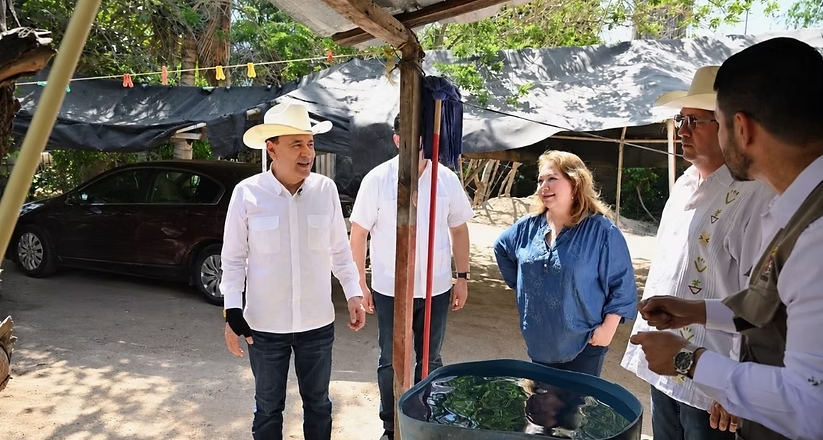 Gobernador Durazo refuerza medidas de prevención y control con Segunda Jornada Nacional de Lucha contra el Dengue